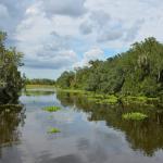 OTRA2014_1564 (September 03, 2014)